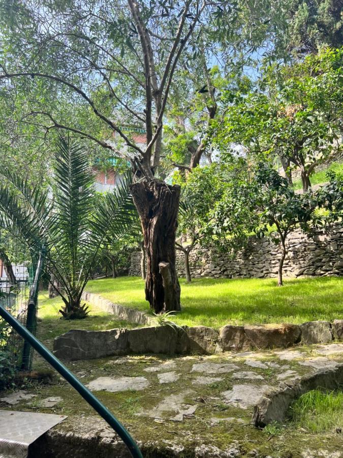 Blue Garden Apartment Rapallo Ngoại thất bức ảnh